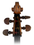 cello-head